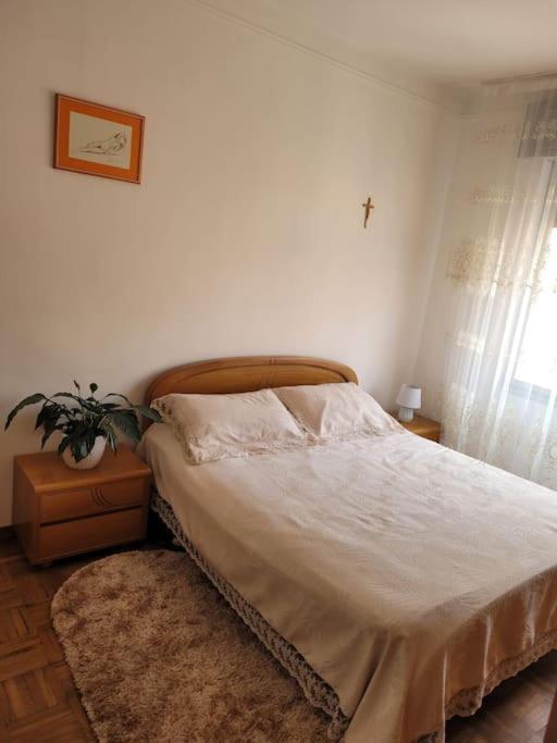 Bilocale: 5 Minuti Dall'Ariston San Remo Extérieur photo